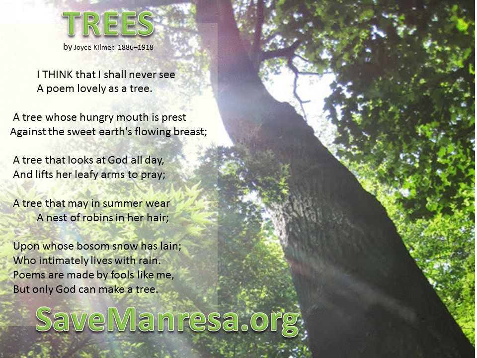 10 lines on save trees 10 lines on save trees picture